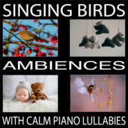 Singing Birds (With Calm Piano Lullabies)