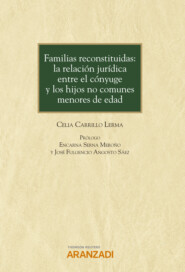 Familias reconstituidas: la relación jurídica entre el cónyuge y los hijos no comunes menores de edad