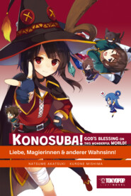 KONOSUBA! GOD\'S BLESSING ON THIS WONDERFUL WORLD! – Light Novel 02
