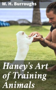 Haney\'s Art of Training Animals