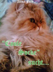 \"Coole Socke\" sucht...