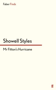 Mr Fitton\'s Hurricane