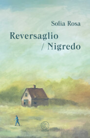 Reversaglio\/Nigredo