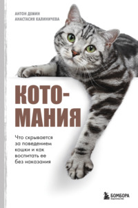 Что делать, если кошка ревнует к питомцу или к новому человеку в доме