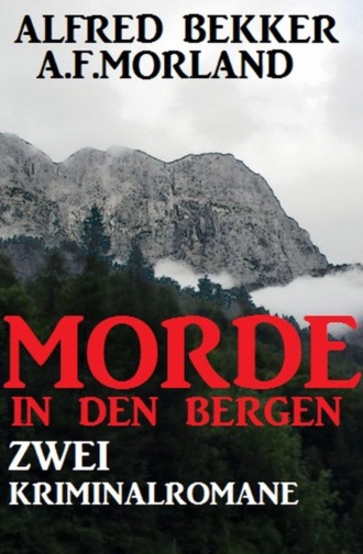 Читать онлайн «Umgelegt vom Killer: Krimi Koffer 9 Romane», A. F. Morland –  Литрес, страница 3