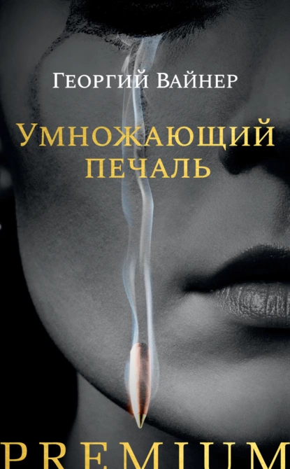 Обложка книги Умножающий печаль, Георгий Вайнер