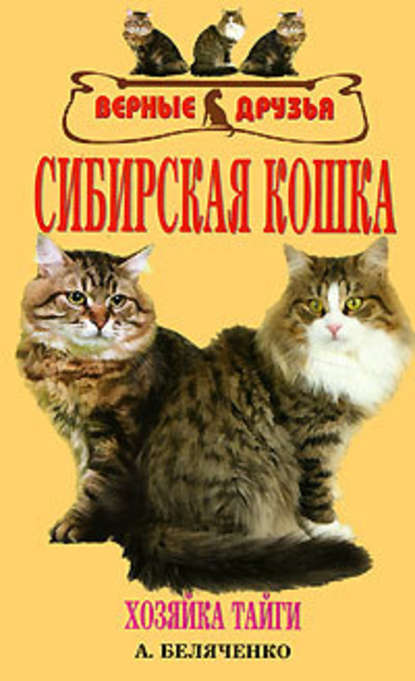 Сибирская кошка - Андрей Беляченко
