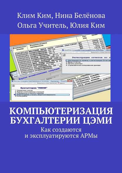 Клим Владимирович Ким - Компьютеризация бухгалтерии ЦЭМИ – теория и практика