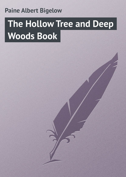 Paine Albert Bigelow — The Hollow Tree and Deep Woods Book