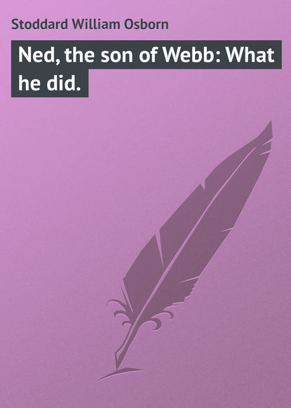Ned, the son of Webb: What he did