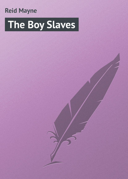 Майн Рид — The Boy Slaves