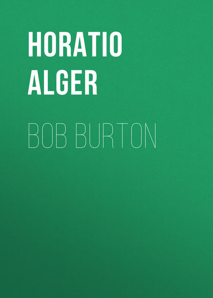 Horatio Alger Jr. — Bob Burton