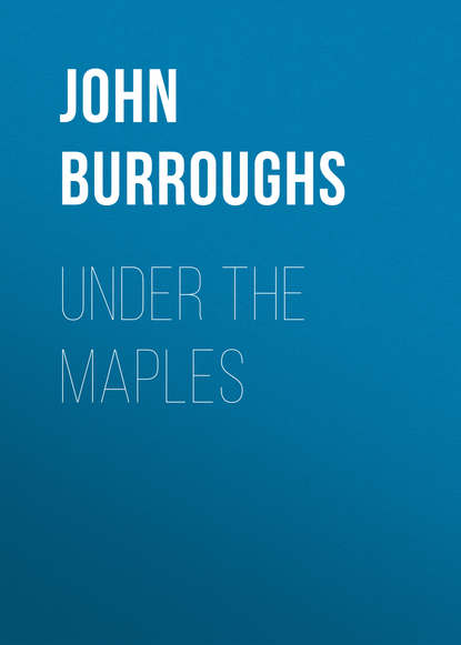 John Burroughs — Under the Maples