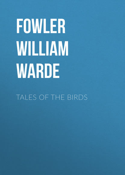 Tales of the birds (Fowler William Warde). 