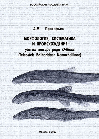 ,       Orthrias (Teleostei: Balitoridae: Nemacheilinae)