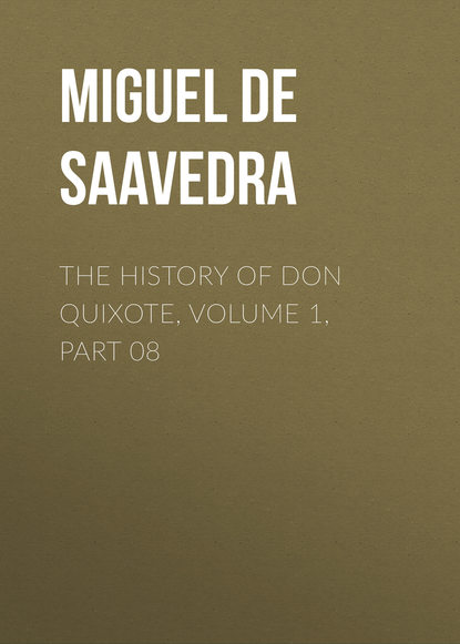 Мигель де Сервантес Сааведра — The History of Don Quixote, Volume 1, Part 08