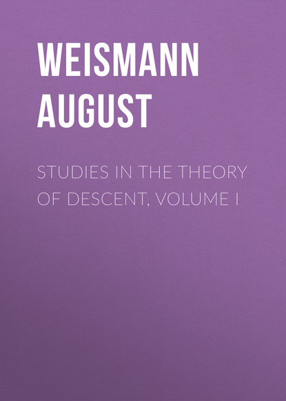 Studies in the Theory of Descent, Volume I