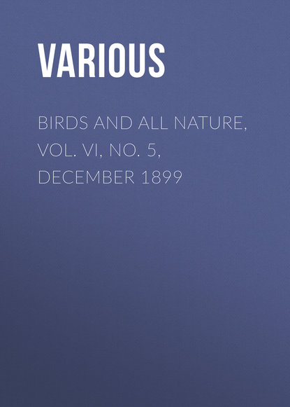 Various — Birds and All Nature, Vol. VI, No. 5, December 1899