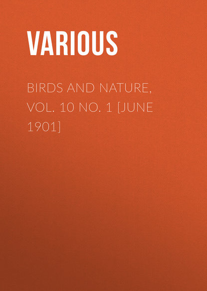 Various — Birds and Nature, Vol. 10 No. 1 [June 1901]
