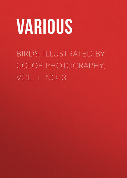 Birds, Illustrated by Color Photography, Vol. 1, No. 3 - Various