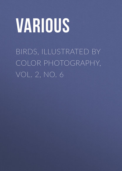 Birds, Illustrated by Color Photography, Vol. 2, No. 6 - Various