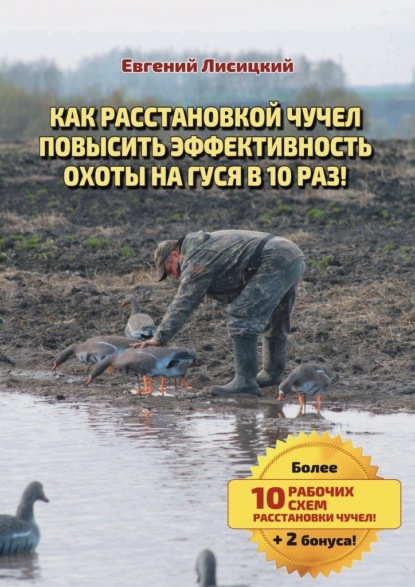 Евгений Лисицкий — Как расстановкой чучел повысить эффективность охоты на гуся в 10 раз!