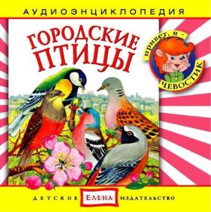 Детское издательство Елена — Городские птицы