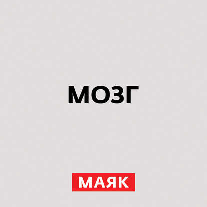 

Соционика
