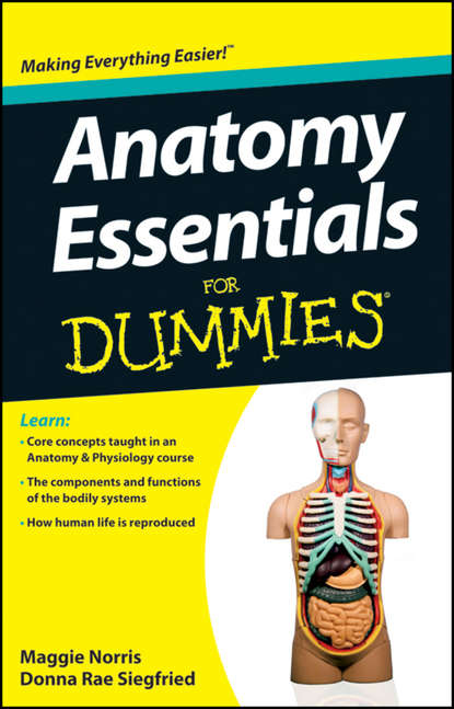 Maggie Norris A. - Anatomy Essentials For Dummies