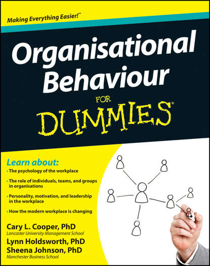 Sheena  Johnson - Organisational Behaviour For Dummies