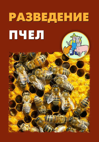 Илья Мельников — Разведение пчел