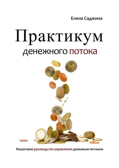 Елена Саджина — Практикум денежного потока. Пошаговое руководство управления денежным потоком
