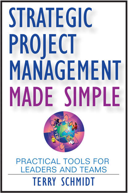 Terry  Schmidt - Strategic Project Management Made Simple. Practical Tools for Leaders and Teams