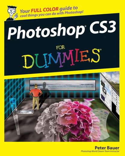 Peter  Bauer - Photoshop CS3 For Dummies