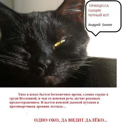 Андрей Бинев — Принцесса, сыщик и черный кот