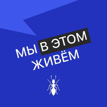 Творческий коллектив Mojomedia Выпуск № 30 сезон 2 Полное Мраково