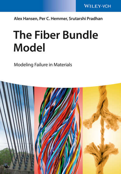 Alex Hansen — The Fiber Bundle Model