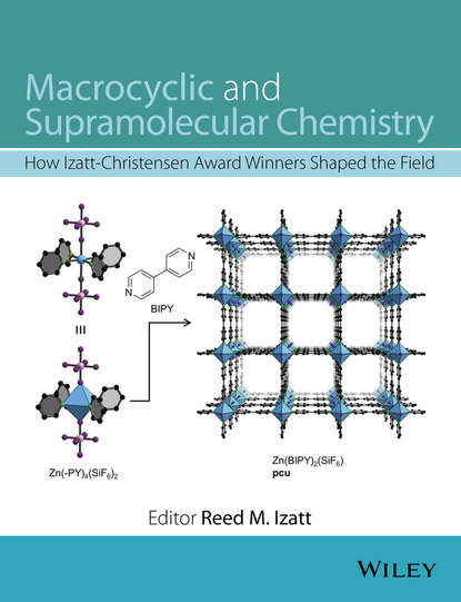 Группа авторов - Macrocyclic and Supramolecular Chemistry