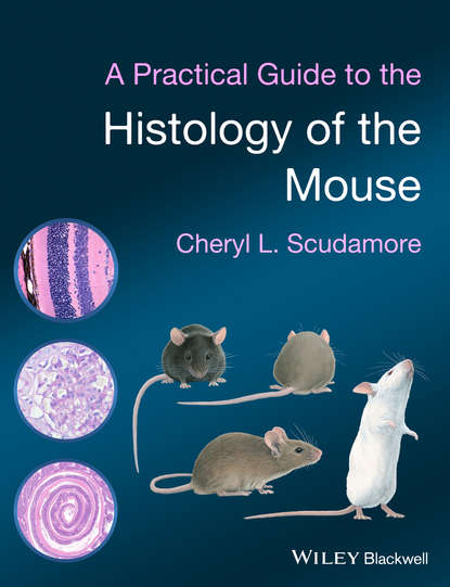 A Practical Guide to the Histology of the Mouse - Cheryl L. Scudamore