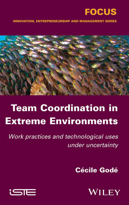 Team Coordination in Extreme Environments - Cécile Godé
