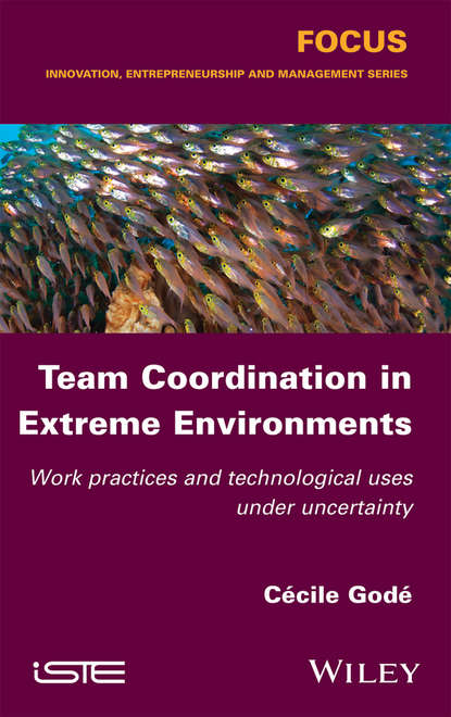 Team Coordination in Extreme Environments (Cécile Godé). 