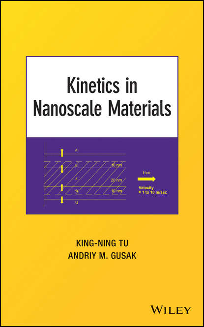 Kinetics in Nanoscale Materials - Andriy M. Gusak