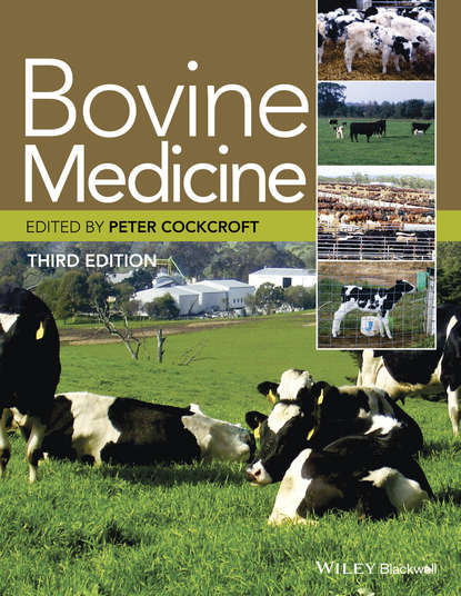 Группа авторов - Bovine Medicine