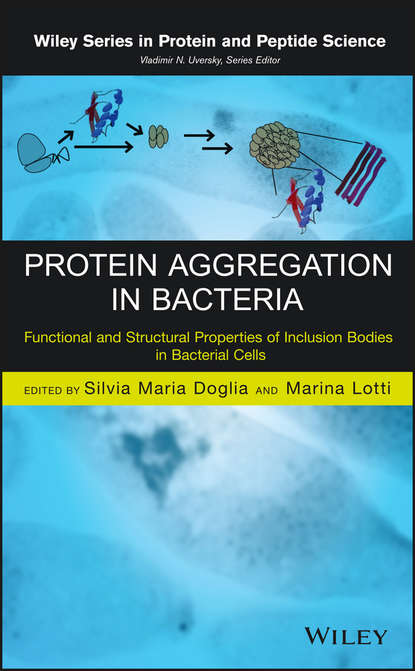 Группа авторов - Protein Aggregation in Bacteria