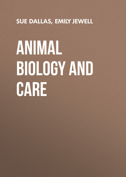 Sue  Dallas - Animal Biology and Care