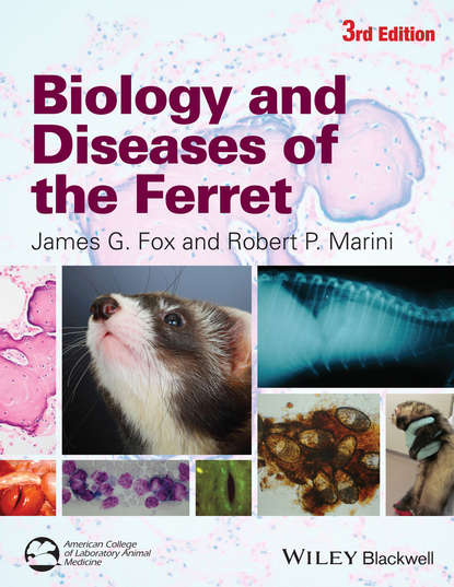 Группа авторов - Biology and Diseases of the Ferret