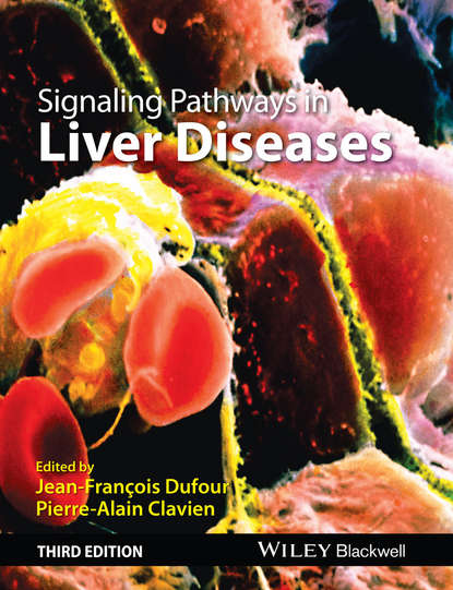 Signaling Pathways in Liver Diseases - Группа авторов