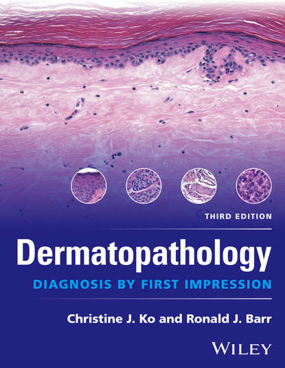 Dermatopathology