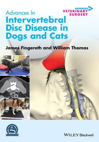 Группа авторов - Advances in Intervertebral Disc Disease in Dogs and Cats