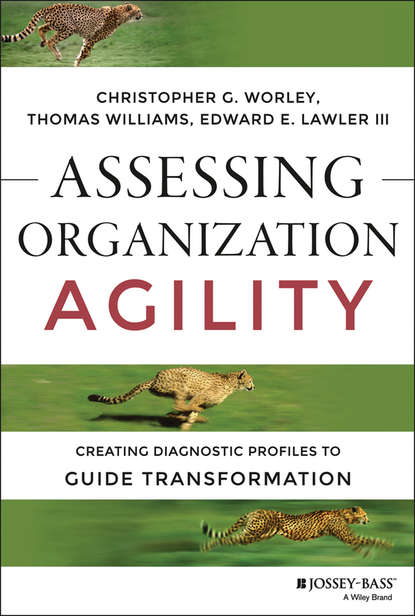Edward E. Lawler - Assessing Organization Agility